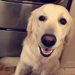 Meet your Posher, Giana